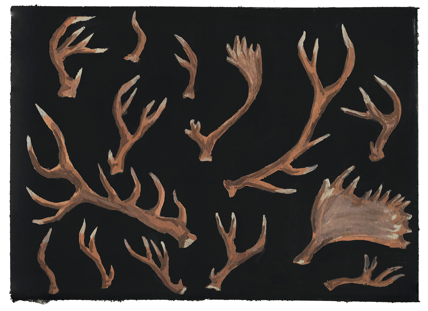Antlers