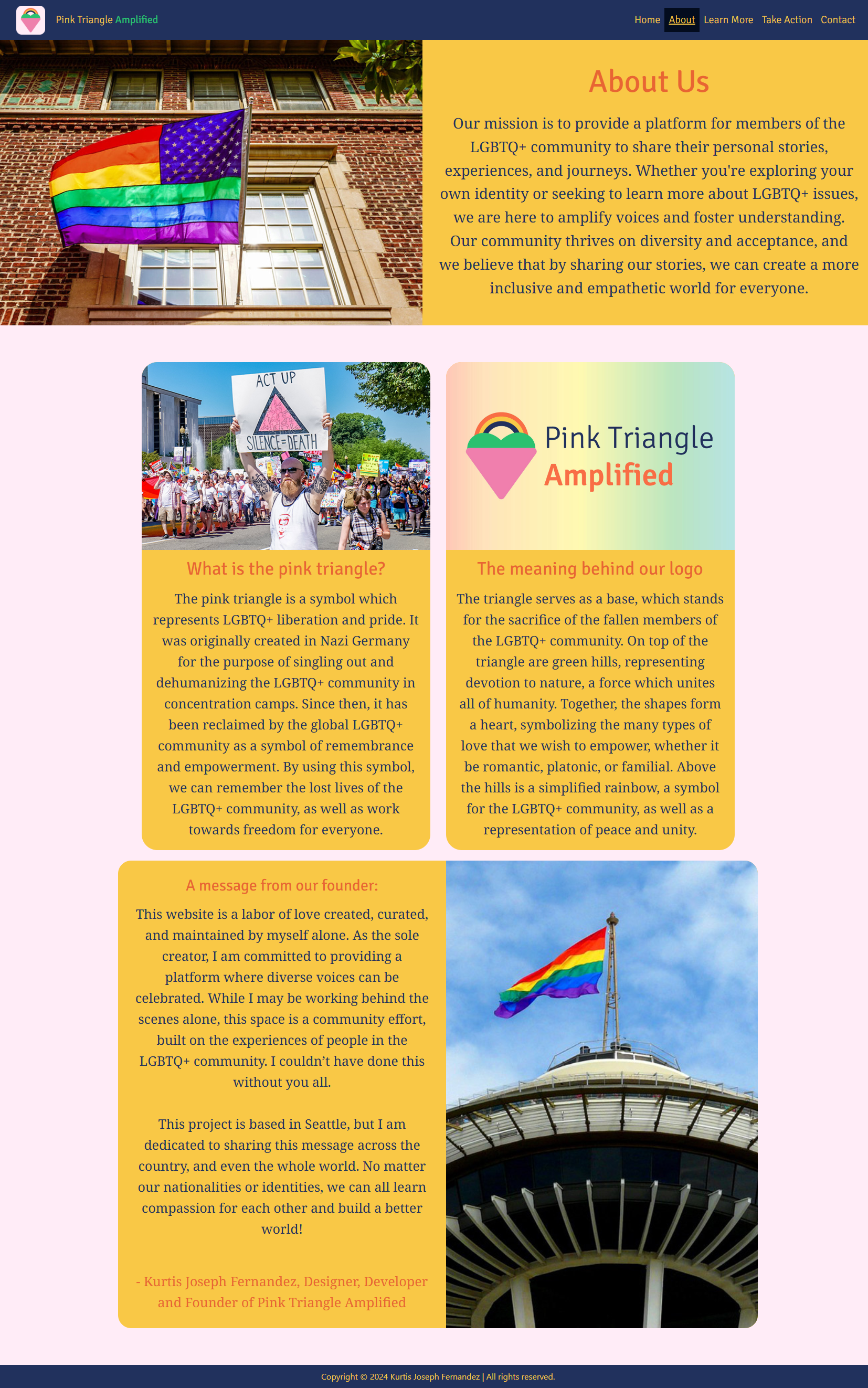 Pink Triangle Amplified  - About